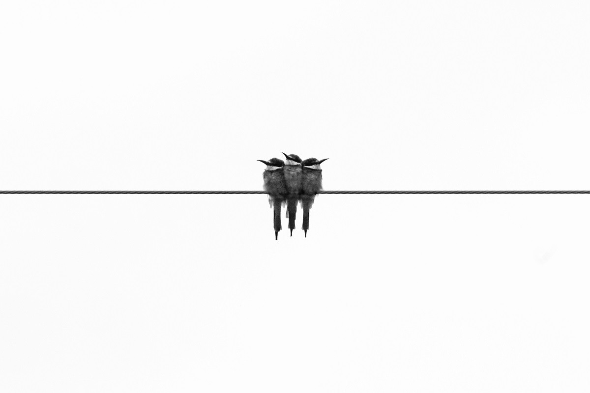 glen-carrie-513355-unsplash