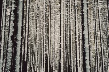 mariam-soliman-319852-unsplash