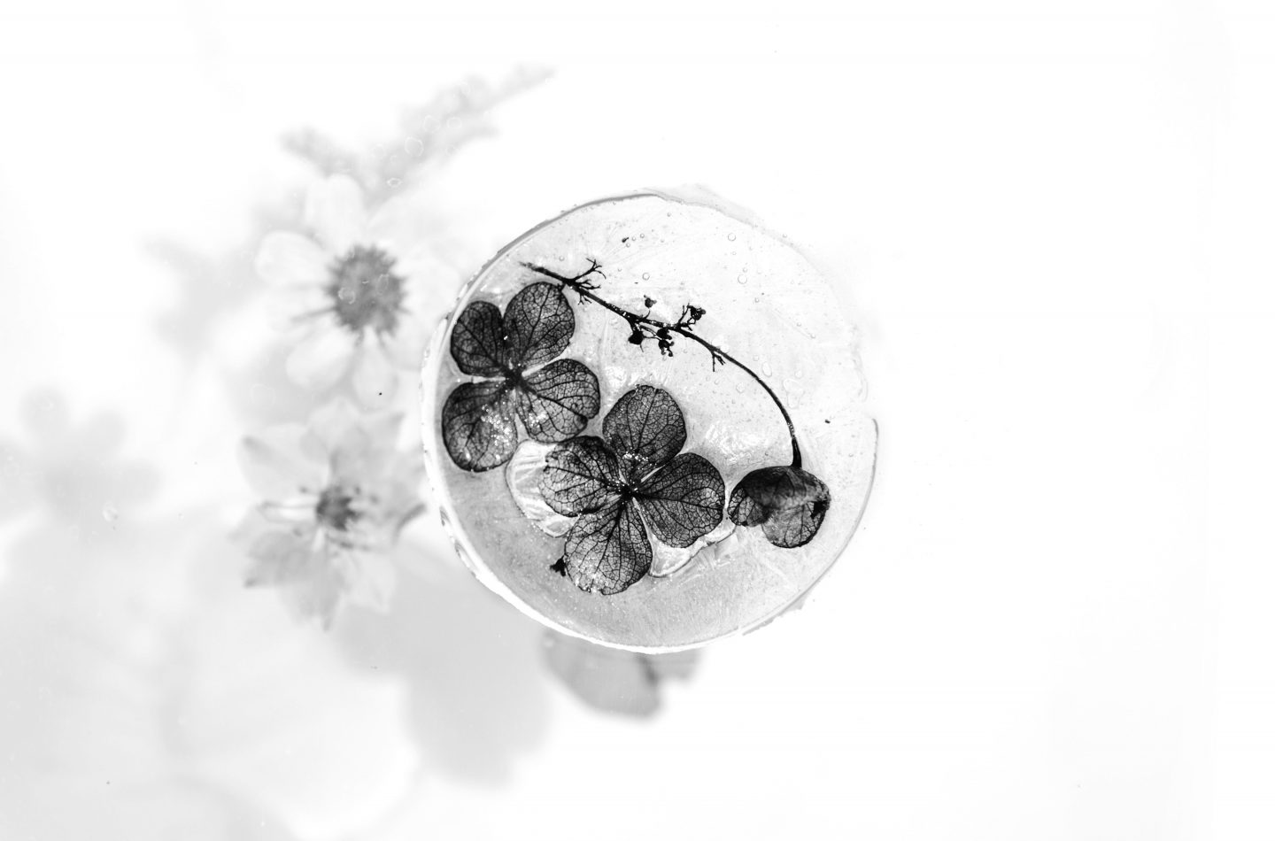 evie-shaffer-1097938-unsplash