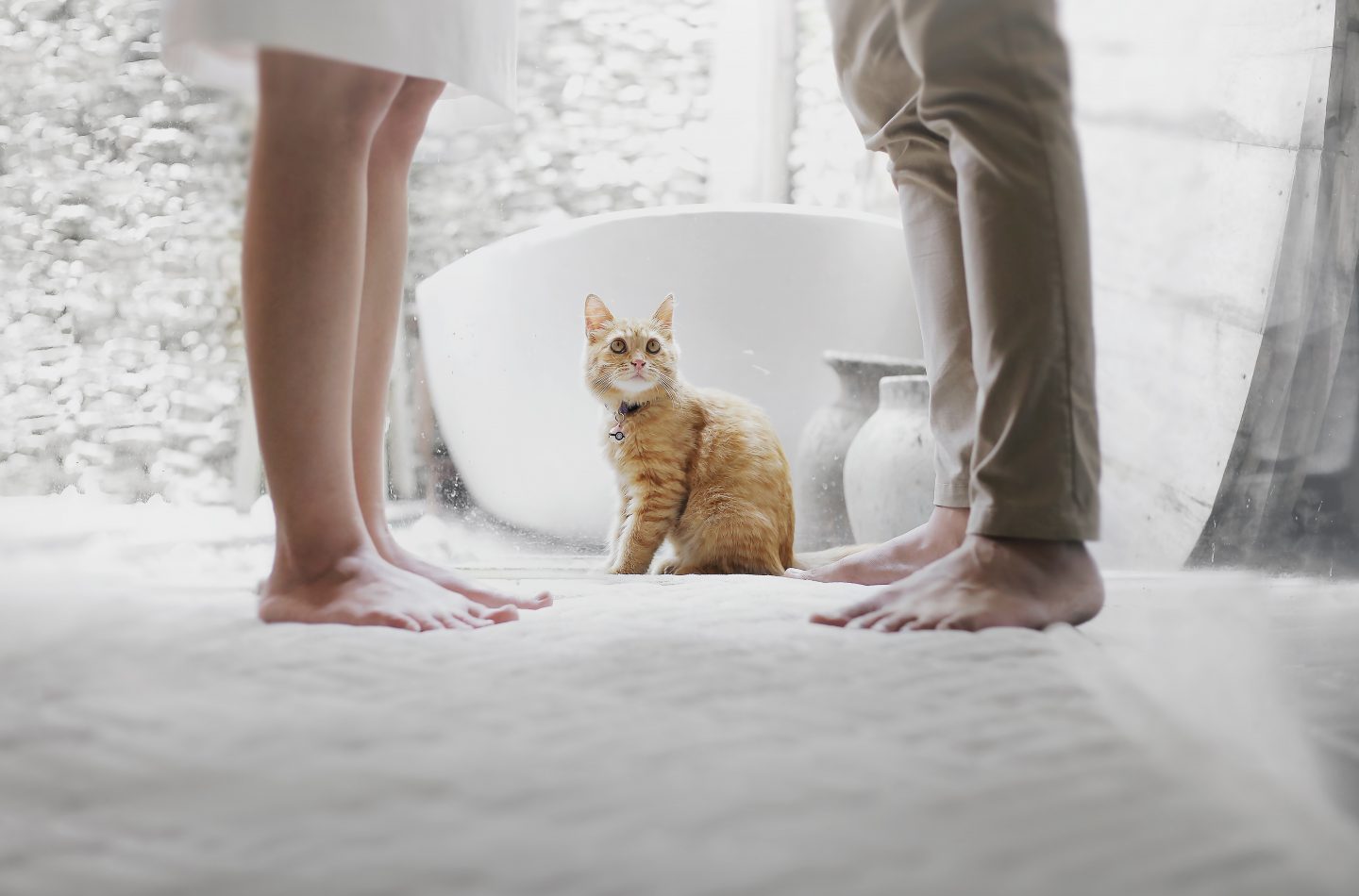 hutomo-abrianto-584600-unsplash