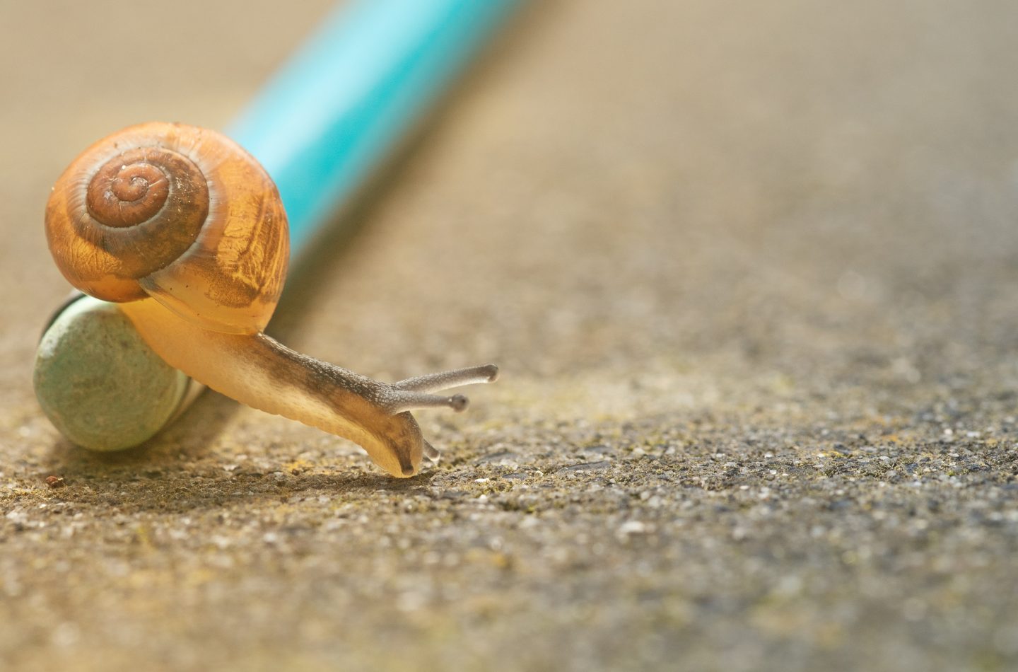 pascal-van-de-vendel-560568-unsplash