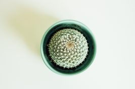 tim-foster-734464-unsplash