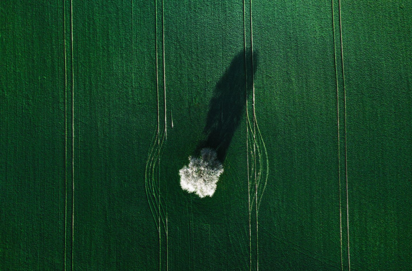 jakub-witos-646752-unsplash