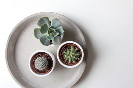 skyla-design-1418828-unsplash