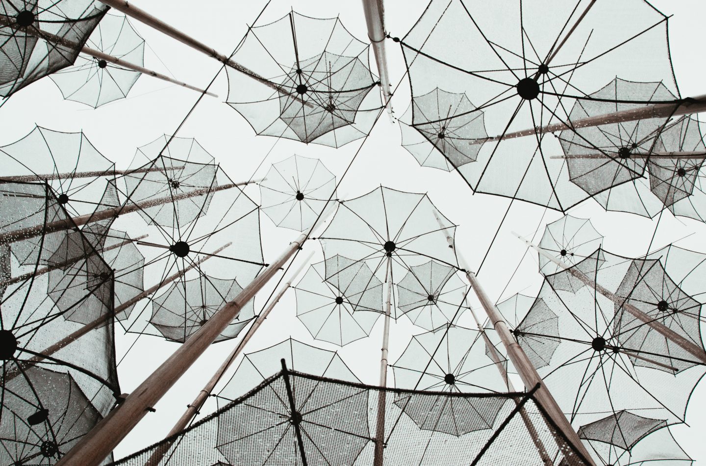 chrissa-giannakoudi-1249131-unsplash