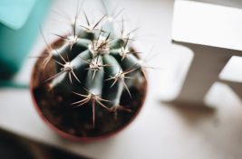 gaelle-marcel-513357-unsplash