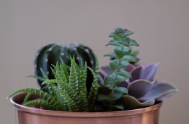 jason-zook-DlB33s176lQ-unsplash