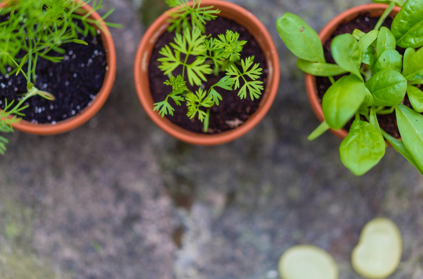 markus-spiske-7LsyosoO0GQ-unsplash