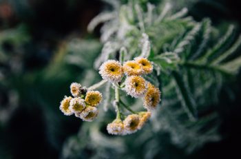 bryce-koebel-eQ1cVhBQlZ0-unsplash