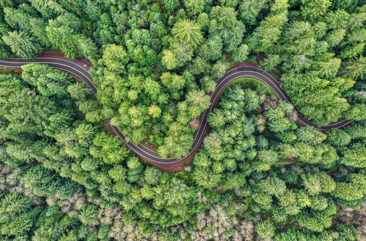 cameron-venti-Clwh1mksdAM-unsplash