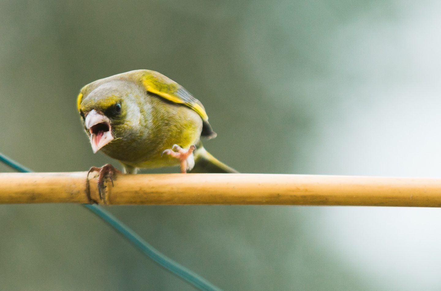 david-knox-W_irudglgK0-unsplash