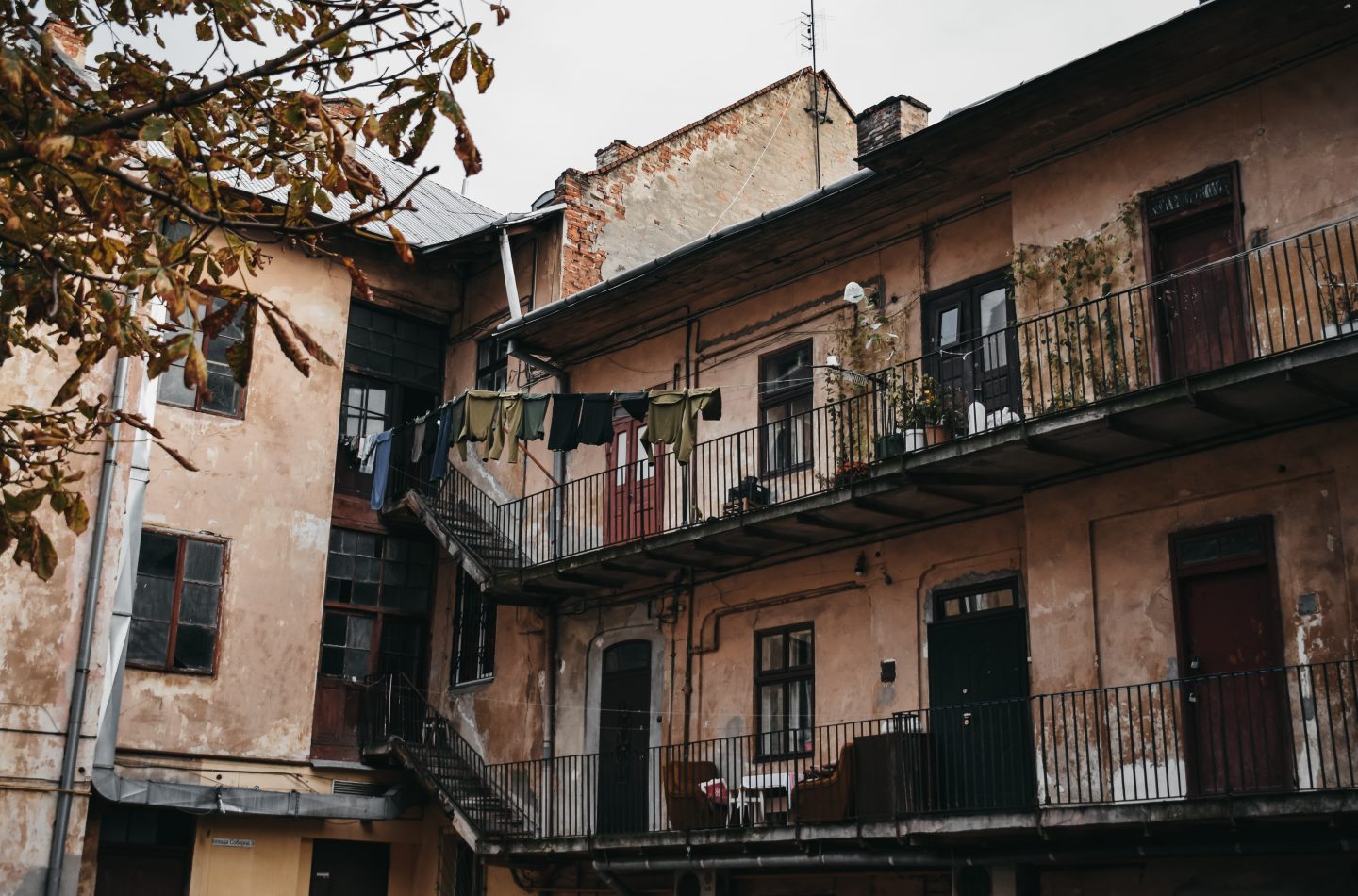 darya-tryfanava-HLl2EsYOIaA-unsplash