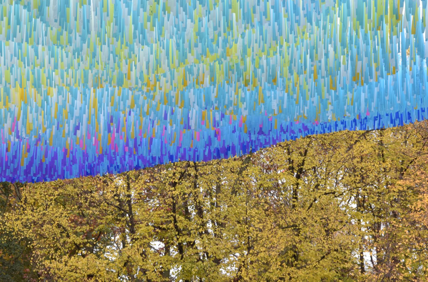 fereshteh-ghazisaeedi-k6l5AkQMR58-unsplash