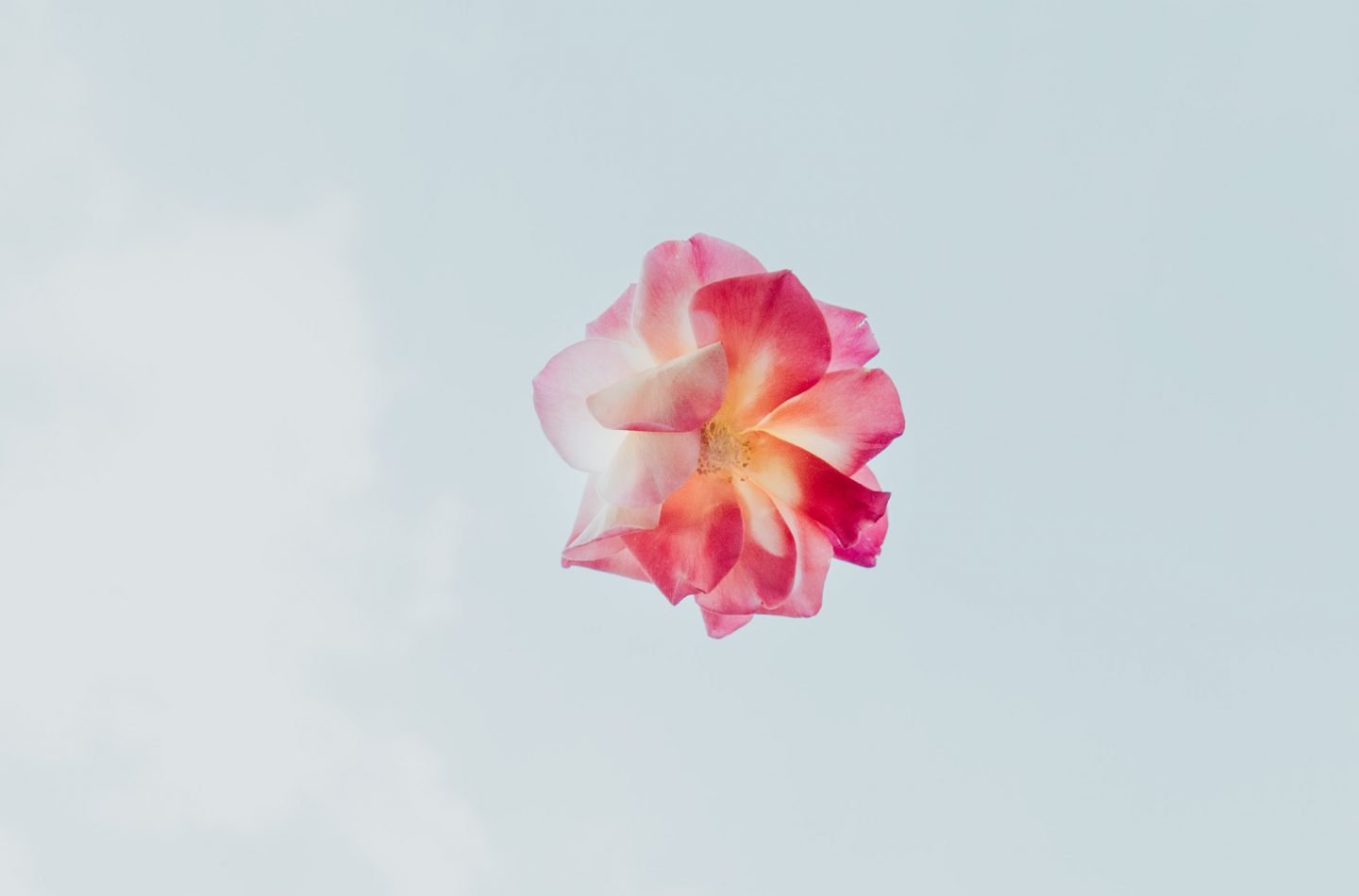 evie-s-w1JE5duY62M-unsplash