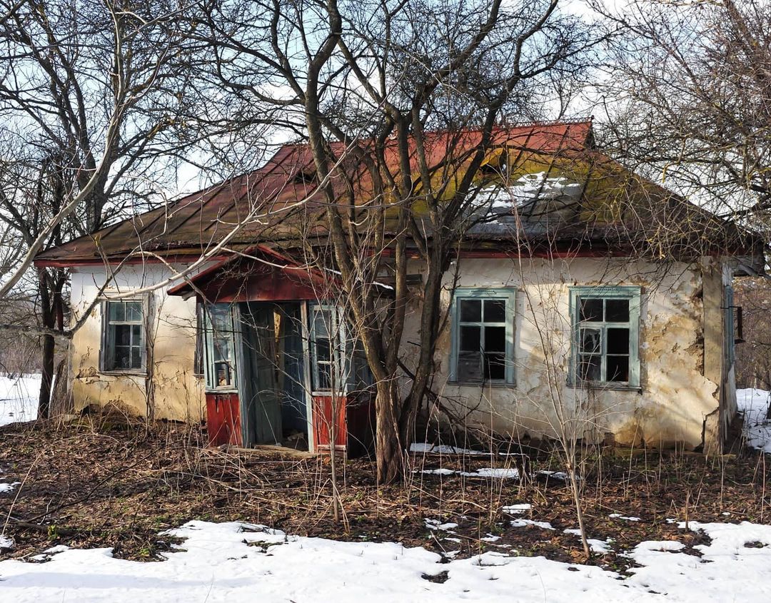 hush.chi_191655784_501647824371119_6166346670821855774_n